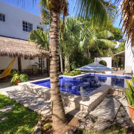 Villa Escondida Guest House Cozumel Downtown Екстер'єр фото